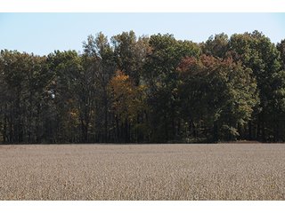 Tract 3 - ABSOLUTE LAND AUCTION - Selling Without Reserve - 3,794+/- Acres offered in 25 Tracts