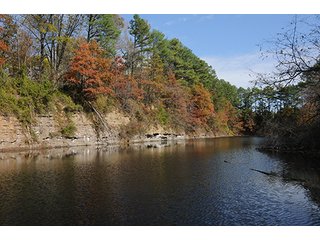 Tract 4 - ABSOLUTE LAND AUCTION - Selling Without Reserve - 3,794+/- Acres offered in 25 Tracts