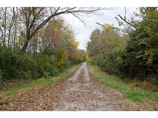 Angus Road to Tract 21 - ABSOLUTE LAND AUCTION - Selling Without Reserve - 3,794+/- Acres offered in 25 Tracts
