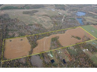 Tract 2 - ABSOLUTE LAND AUCTION - Selling Without Reserve - 3,794+/- Acres offered in 25 Tracts