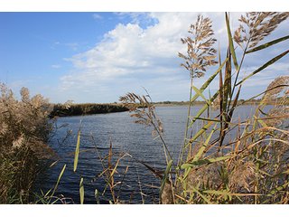Tract 20 - ABSOLUTE LAND AUCTION - Selling Without Reserve - 3,794+/- Acres offered in 25 Tracts