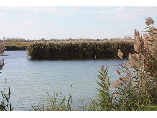 Tract 20 - ABSOLUTE LAND AUCTION - Selling Without Reserve - 3,794+/- Acres offered in 25 Tracts