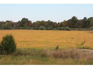 Tract 20 - ABSOLUTE LAND AUCTION - Selling Without Reserve - 3,794+/- Acres offered in 25 Tracts