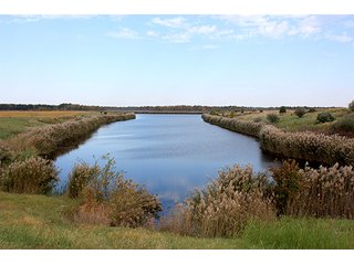 Tract 19 - ABSOLUTE LAND AUCTION - Selling Without Reserve - 3,794+/- Acres offered in 25 Tracts