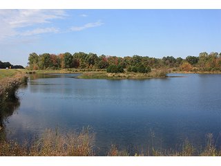Tract 19 - ABSOLUTE LAND AUCTION - Selling Without Reserve - 3,794+/- Acres offered in 25 Tracts