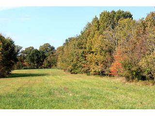 Tract 16 - ABSOLUTE LAND AUCTION - Selling Without Reserve - 3,794+/- Acres offered in 25 Tracts