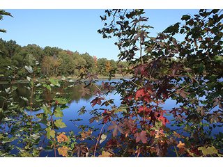 Tract 19 - ABSOLUTE LAND AUCTION - Selling Without Reserve - 3,794+/- Acres offered in 25 Tracts
