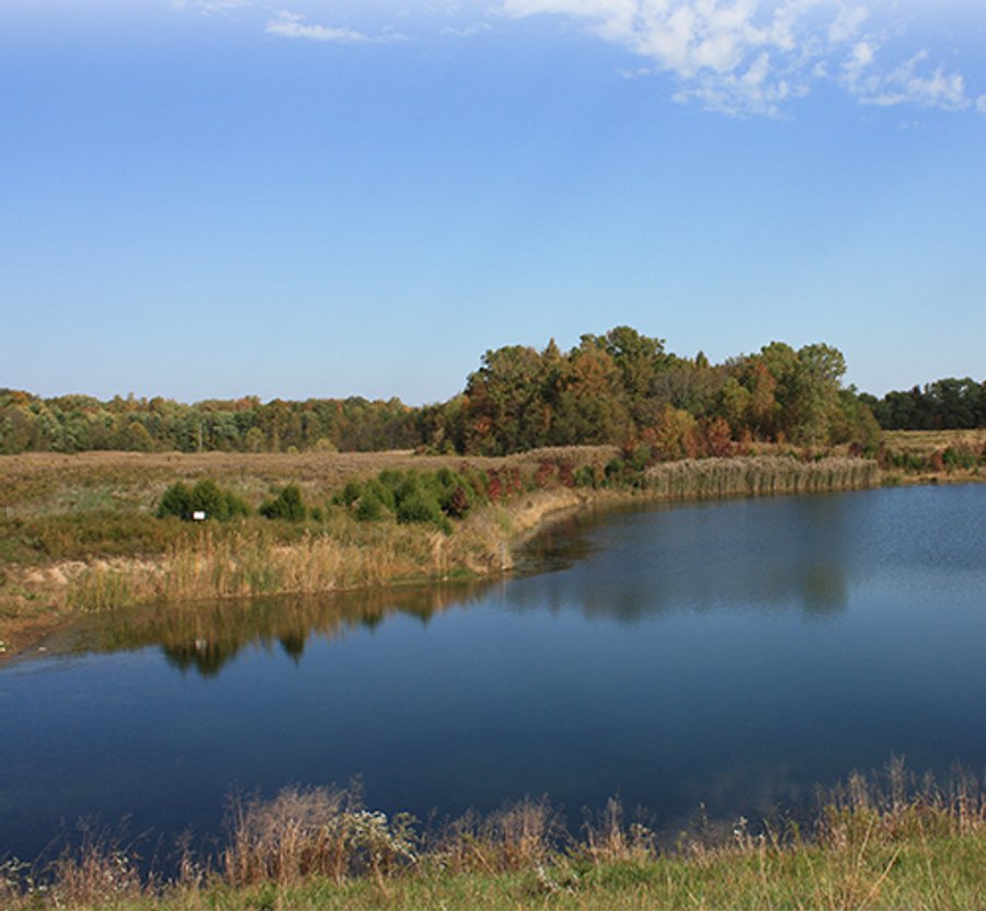 ABSOLUTE LAND AUCTION - Selling Without Reserve - 3,794+/- Acres offered in 25 Tracts