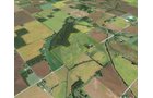 Property photo 2 - LAND AUCTION, 83.18+/- Acres offered in 2 Tracts