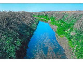 Property photo 6 - LAND AUCTION, 320+/- Acres offered in (2) 160 Acre Tracts
