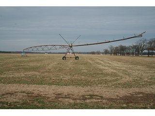 Tract 2 - LAND & REAL ESTATE AUCTION, 313.24+/- Acres offered in 3 Tracts