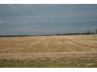 Tract 3 - LAND & REAL ESTATE AUCTION, 313.24+/- Acres offered in 3 Tracts