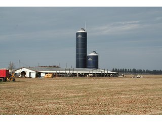 Tract 3 - LAND & REAL ESTATE AUCTION, 313.24+/- Acres offered in 3 Tracts