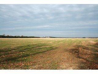 Property photo 56 - LAND & REAL ESTATE AUCTION, 313.24+/- Acres offered in 3 Tracts