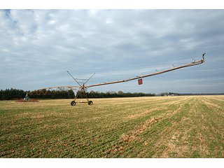 Tract 2 - LAND & REAL ESTATE AUCTION, 313.24+/- Acres offered in 3 Tracts