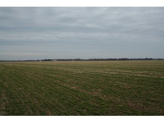 Property photo 58 - LAND & REAL ESTATE AUCTION, 313.24+/- Acres offered in 3 Tracts