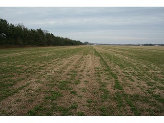 Property photo 59 - LAND & REAL ESTATE AUCTION, 313.24+/- Acres offered in 3 Tracts