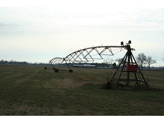 Property photo 60 - LAND & REAL ESTATE AUCTION, 313.24+/- Acres offered in 3 Tracts