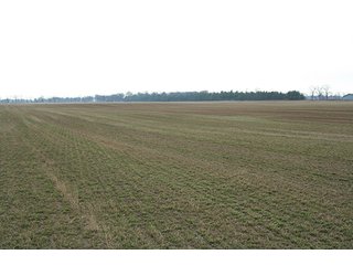Tract 1 - LAND & REAL ESTATE AUCTION, 313.24+/- Acres offered in 3 Tracts