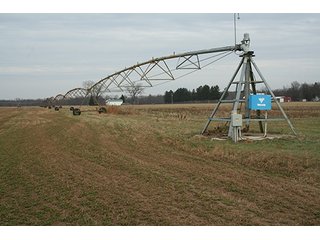 Tract 2 - LAND & REAL ESTATE AUCTION, 313.24+/- Acres offered in 3 Tracts