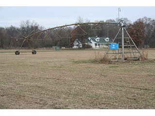 Tract 2 - LAND & REAL ESTATE AUCTION, 313.24+/- Acres offered in 3 Tracts