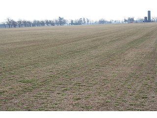 Property photo 63 - LAND & REAL ESTATE AUCTION, 313.24+/- Acres offered in 3 Tracts