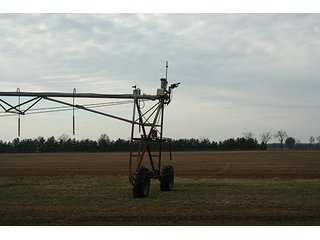 Property photo 64 - LAND & REAL ESTATE AUCTION, 313.24+/- Acres offered in 3 Tracts