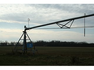 Property photo 65 - LAND & REAL ESTATE AUCTION, 313.24+/- Acres offered in 3 Tracts