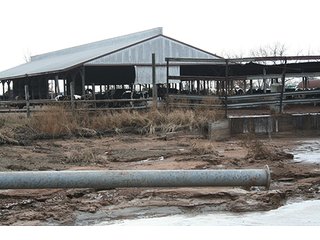 Tract 3 - LAND & REAL ESTATE AUCTION, 313.24+/- Acres offered in 3 Tracts