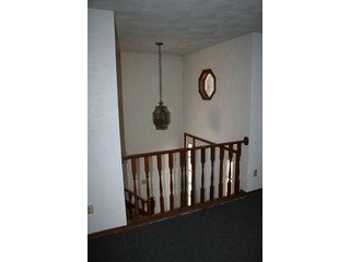 Property photo 71 - LAND & REAL ESTATE AUCTION, 313.24+/- Acres offered in 3 Tracts