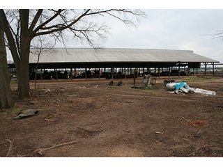 Property photo 79 - LAND & REAL ESTATE AUCTION, 313.24+/- Acres offered in 3 Tracts