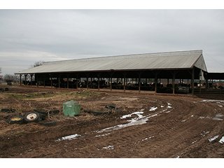 Tract 3 - LAND & REAL ESTATE AUCTION, 313.24+/- Acres offered in 3 Tracts