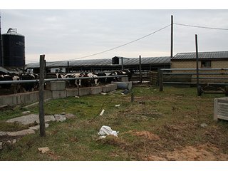 Property photo 80 - LAND & REAL ESTATE AUCTION, 313.24+/- Acres offered in 3 Tracts