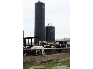 Tract 3 - LAND & REAL ESTATE AUCTION, 313.24+/- Acres offered in 3 Tracts
