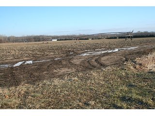 Property photo 4 - REAL ESTATE AUCTION, 158+/- Acres offered in 5 Tracts