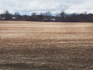 - 40 Acres with 36.34 FSA tillable acres.
- High percentage of tillable land.
- Wooded area with barn.
- Union Modoc Schools.
- Full crop rights available for 2016. - 40 Acre Farm