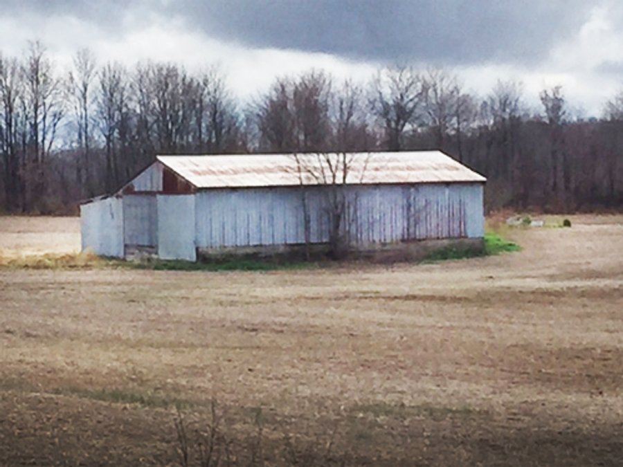 For sale: 40 Acre Farm - Williamsburg, IN