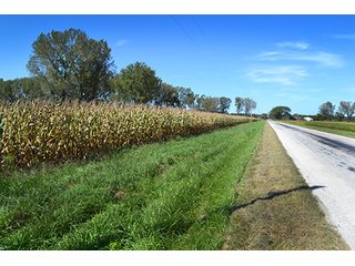 This property has a lot to offer.  There is tillable land for income, woods for hunting and recreation, and it offers quick access to State Road 10 and U.S. 41.  Also, investigate the possibility of a secluded, wooded home site in the woods in the central part of the property.

This is a grain farm with nice wooded area in the interior of the property.

Current Lease Terms:  Crop rights to Buyer for 2016. - Grain Farm with Nice Wooded Area