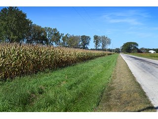 This property has a lot to offer.  There is tillable land for income, woods for hunting and recreation, and it offers quick access to State Road 10 and U.S. 41.  Also, investigate the possibility of a secluded, wooded home site in the woods in the central part of the property.

This is a grain farm with nice wooded area in the interior of the property.

Current Lease Terms:  Crop rights to Buyer for 2016. - Grain Farm with Nice Wooded Area