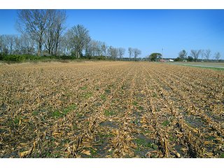 This property has a lot to offer.  There is tillable land for income, woods for hunting and recreation, and it offers quick access to State Road 10 and U.S. 41.  Also, investigate the possibility of a secluded, wooded home site in the woods in the central part of the property.

This is a grain farm with nice wooded area in the interior of the property.

Current Lease Terms:  Crop rights to Buyer for 2016. - Grain Farm with Nice Wooded Area