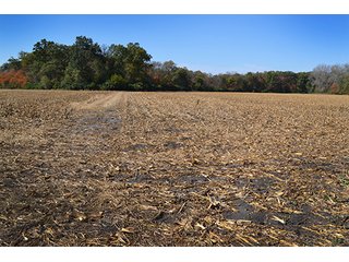 This property has a lot to offer.  There is tillable land for income, woods for hunting and recreation, and it offers quick access to State Road 10 and U.S. 41.  Also, investigate the possibility of a secluded, wooded home site in the woods in the central part of the property.

This is a grain farm with nice wooded area in the interior of the property.

Current Lease Terms:  Crop rights to Buyer for 2016. - Grain Farm with Nice Wooded Area