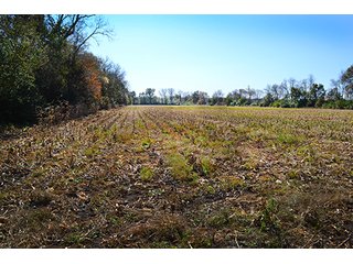 This property has a lot to offer.  There is tillable land for income, woods for hunting and recreation, and it offers quick access to State Road 10 and U.S. 41.  Also, investigate the possibility of a secluded, wooded home site in the woods in the central part of the property.

This is a grain farm with nice wooded area in the interior of the property.

Current Lease Terms:  Crop rights to Buyer for 2016. - Grain Farm with Nice Wooded Area