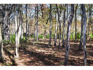 This property has a lot to offer.  There is tillable land for income, woods for hunting and recreation, and it offers quick access to State Road 10 and U.S. 41.  Also, investigate the possibility of a secluded, wooded home site in the woods in the central part of the property.

This is a grain farm with nice wooded area in the interior of the property.

Current Lease Terms:  Crop rights to Buyer for 2016. - Grain Farm with Nice Wooded Area