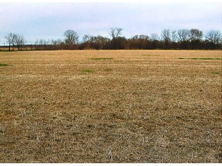 Excellent Quality Soils.
Frontage on CR 700W & CR 1000N - 46 Acres in Carroll County, IN