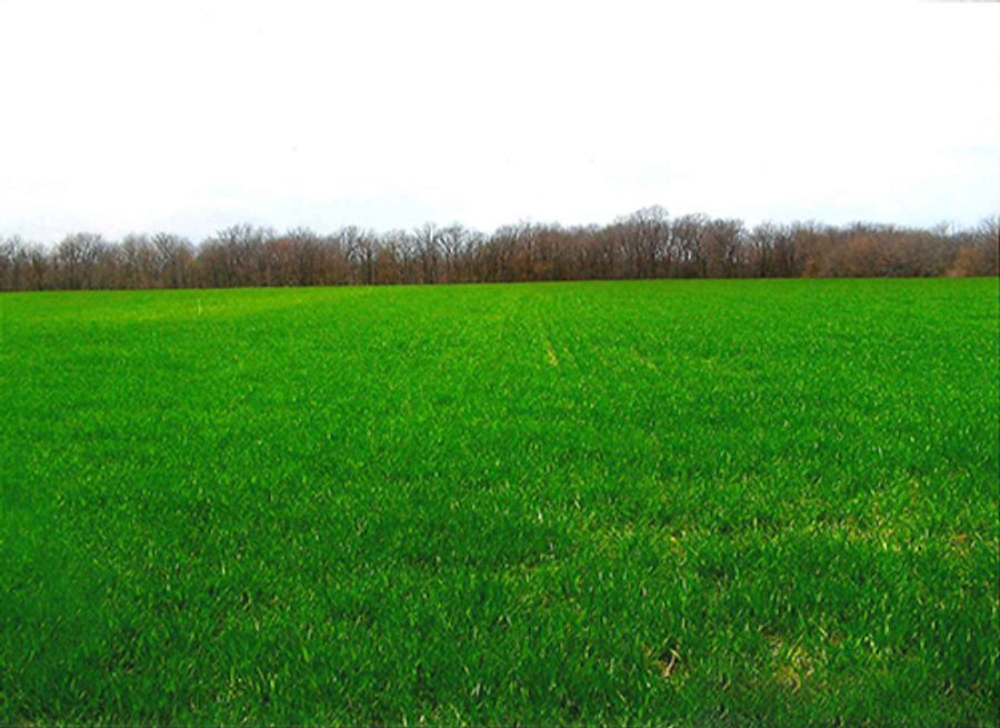 For sale: 46 Acres in Carroll County, IN - Near Monticello, IN