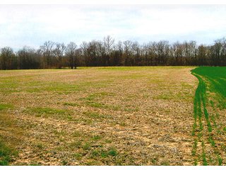 Excellent Quality Soils.
Frontage on CR 700W & CR 1000N - 46 Acres in Carroll County, IN