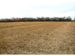 Excellent Quality Soils.
Frontage on CR 700W & CR 1000N - 46 Acres in Carroll County, IN