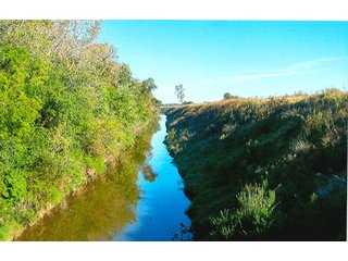 133.8+/- Acre farm in Northwestern White County, IN.  This farm has 105.08 acres of tillable land and some wooded land.  The farm has quality soils and frontage along the Big Monon for good drainage outlet.   - Grain Farm with Some Woods