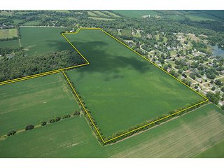 80+/- Acres with 76+/- acres of productive tillable farmland. - Productive Tillable Farmland