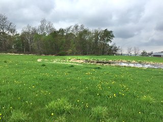Mixture of tillable & wooded land including hog facility. - Hog Facility and Mixture of Tillable and Wooded Land